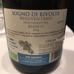 Sogno di Rivolta 2016 Beneventano igt