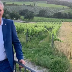 Vincenzo Cecci presidente del Consorzio Vini Orvieto