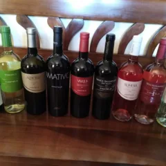 Vini di Cantele