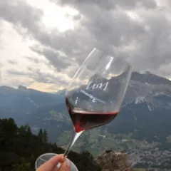 Vinovip Cortina
