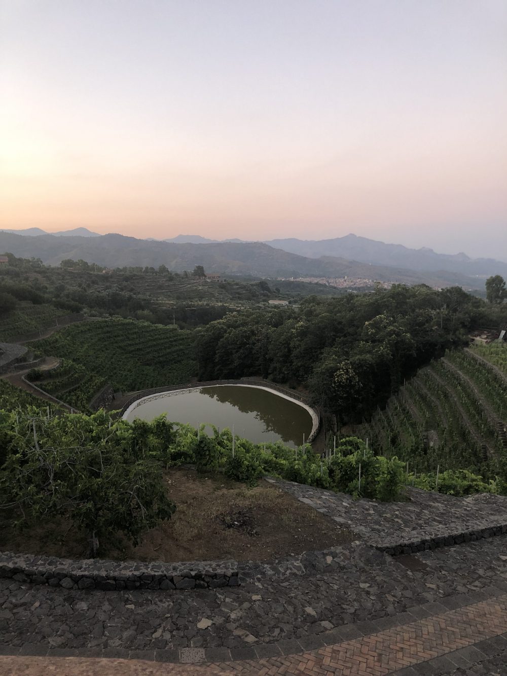La Gelsomina e i suoi terrazzamenti giardino sull’Etna