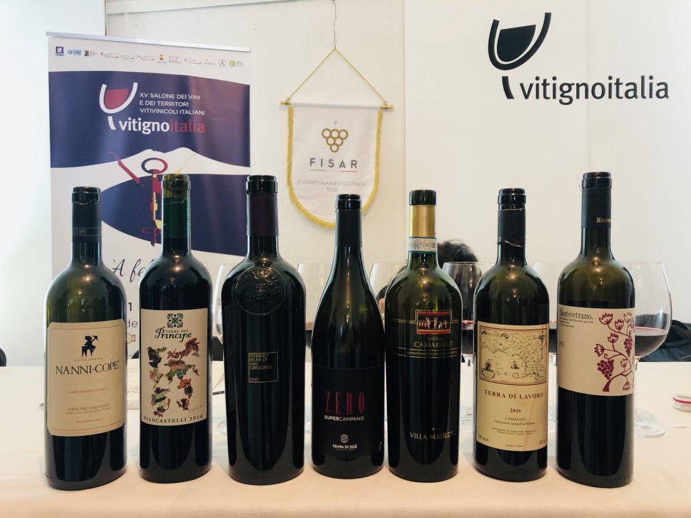 Degustazione Vitigno Italia 2019