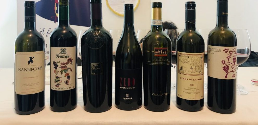 Degustazione Vitigno Italia 2019