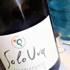Franciacorta Brut Solo Uva, SoloUva