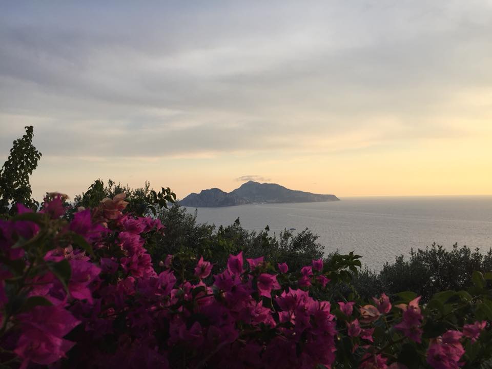 La vista su Capri dal belvedere del ristorante La Torre