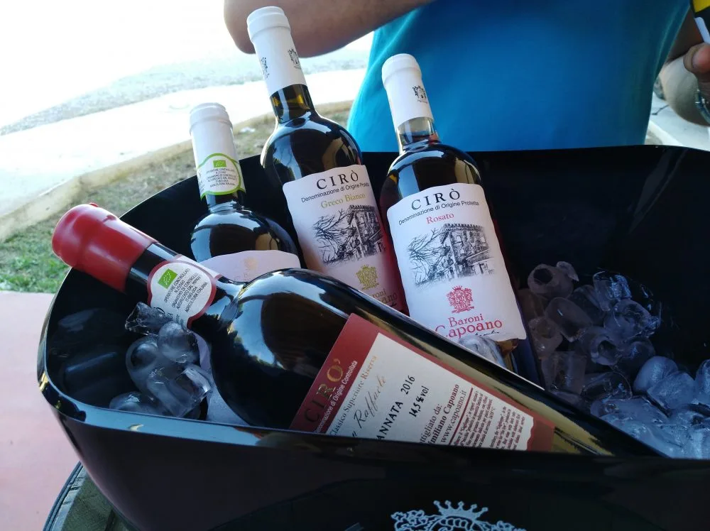 Vini Tenuta Baroni Capoano