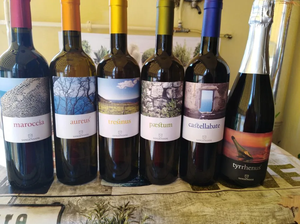 Vini di Sangiovanni