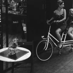 La dispensa bianco e nero