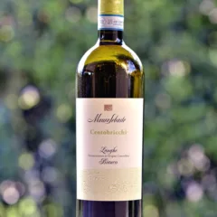 Langhe Bianco Centobricchi 2017 Mauro Sebaste