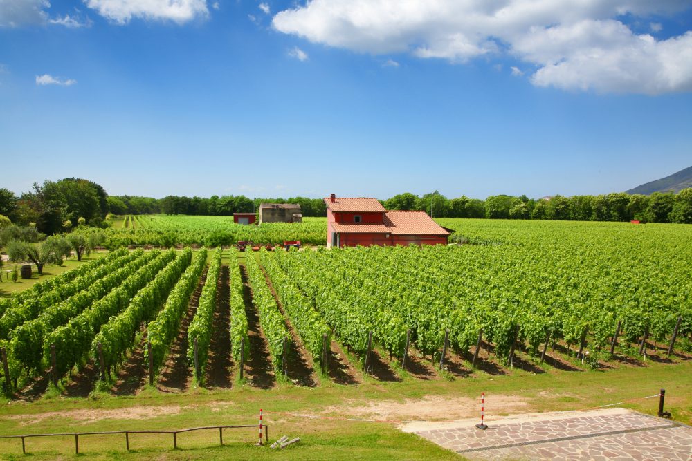 Nugnes tenuta