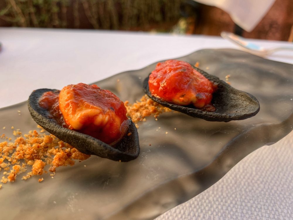 Bikini - Aperitivo con cozze