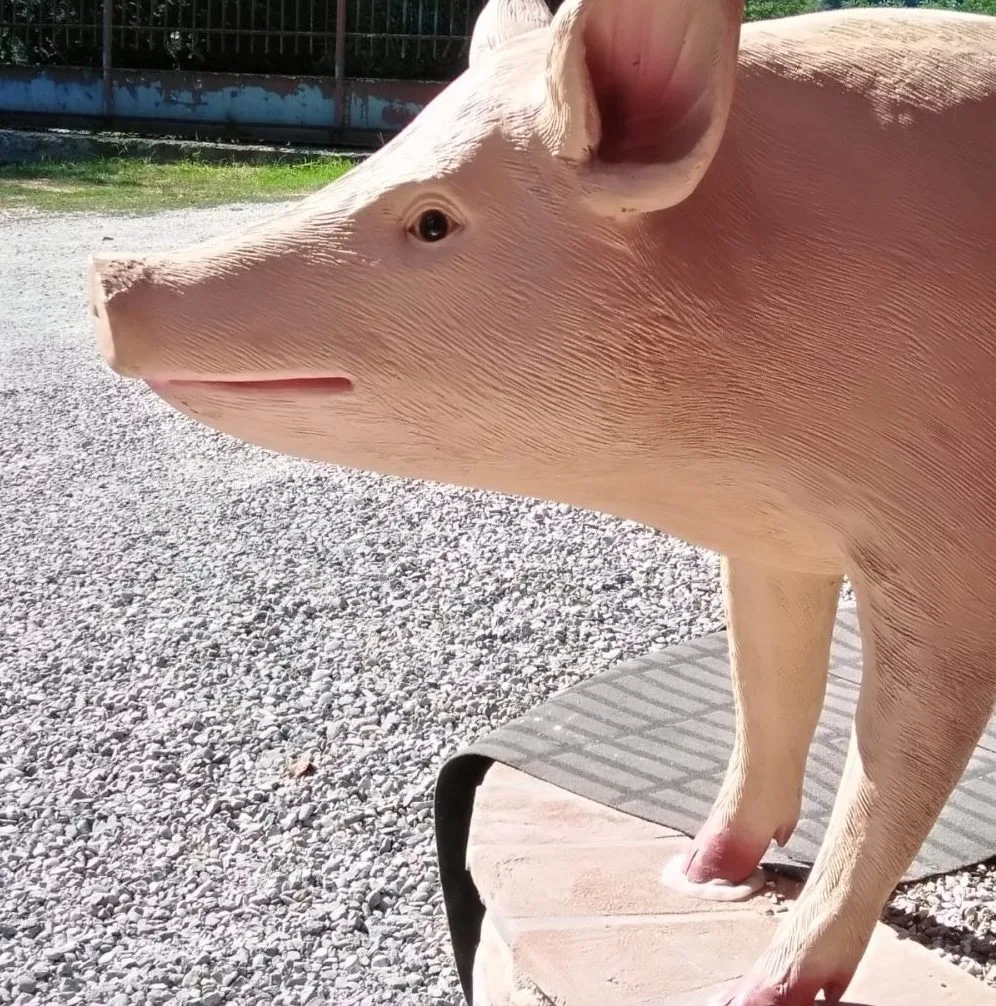 Agriristoro - ingresso dettaglio