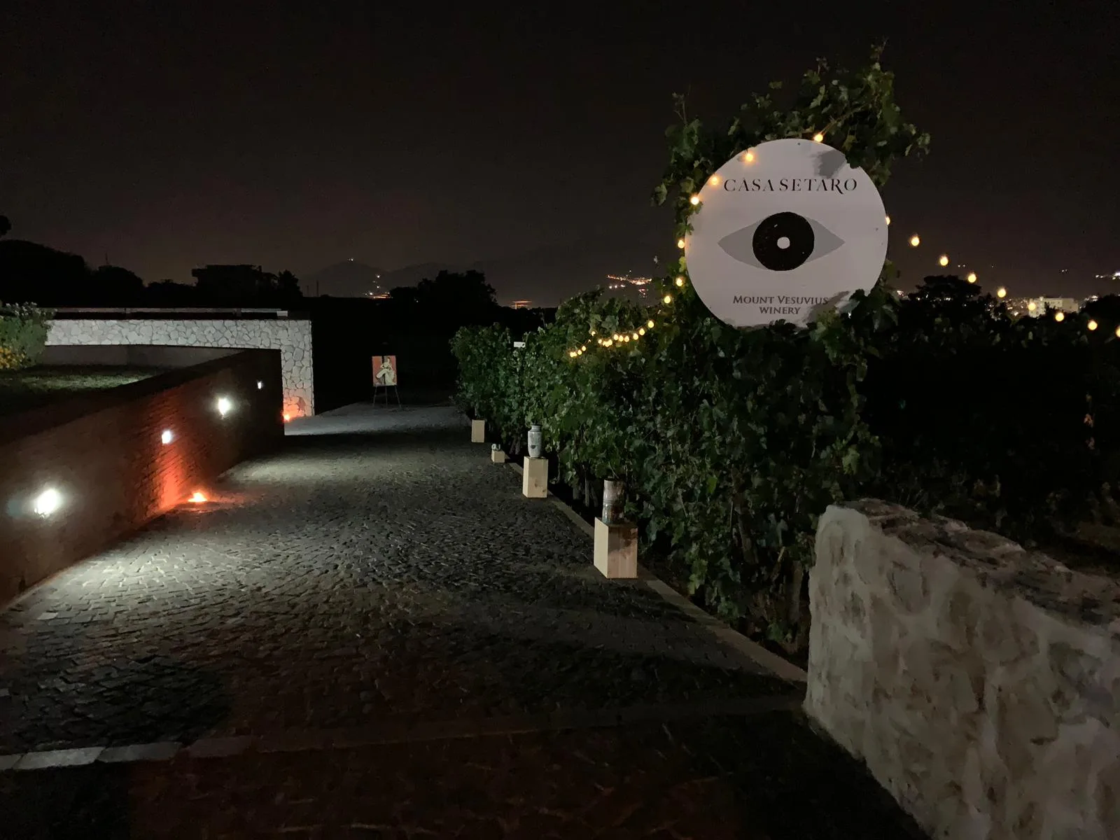 Casa Setaro - vigna di notte