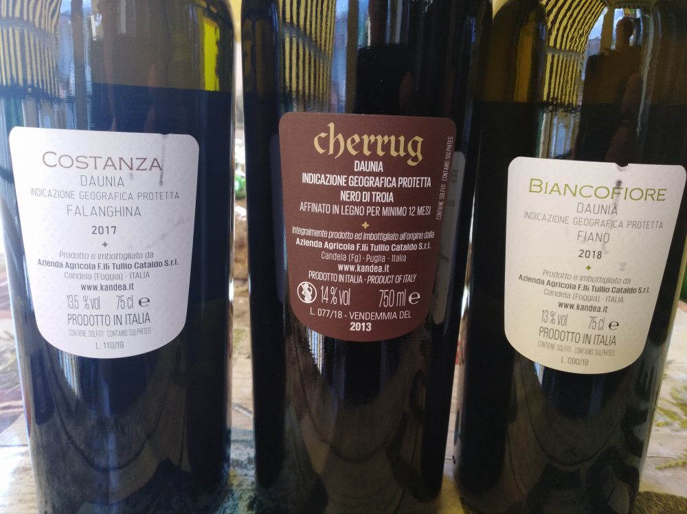 Controetichette vini di Kandea