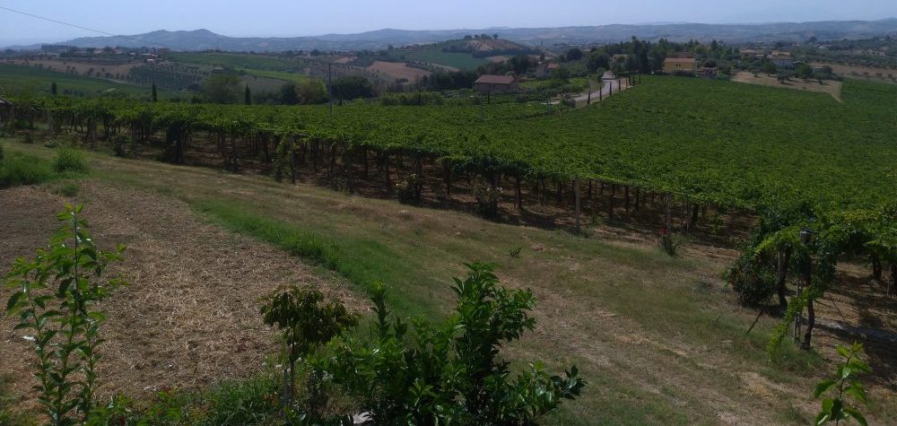 Tributare sinonimo Tributare sinonimo