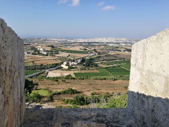 Sguardo sulle vigne dall'antica città di Mdina