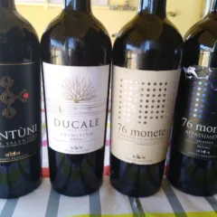 Vini Tenute Salentine