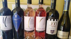 Vini di Duca Carlo Guarini