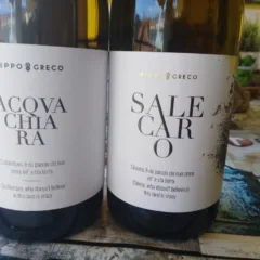 Vini di Pippo Greco