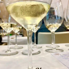 Vernaccia di San Gimignano a Terre d'Italia