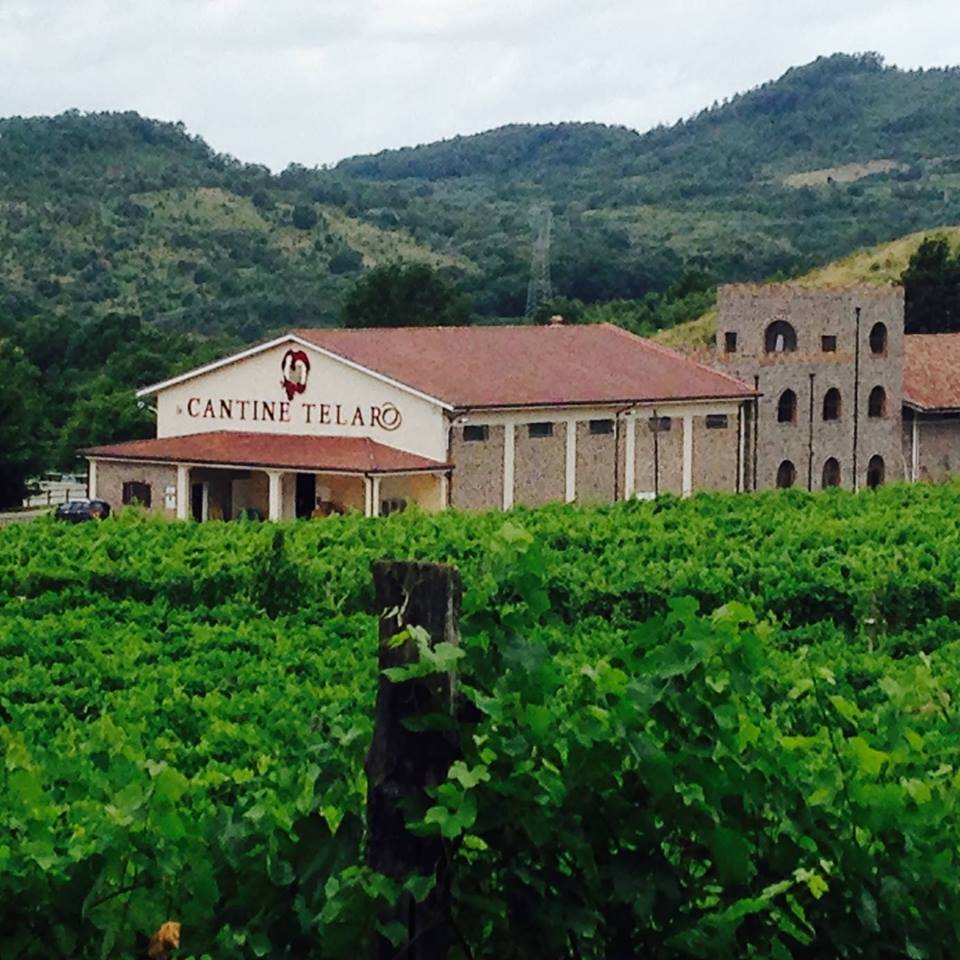 Cantine Telaro