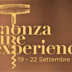 Monza Wine Experience - Logo