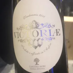 Victoriae Cantina Mori Colli Zugna