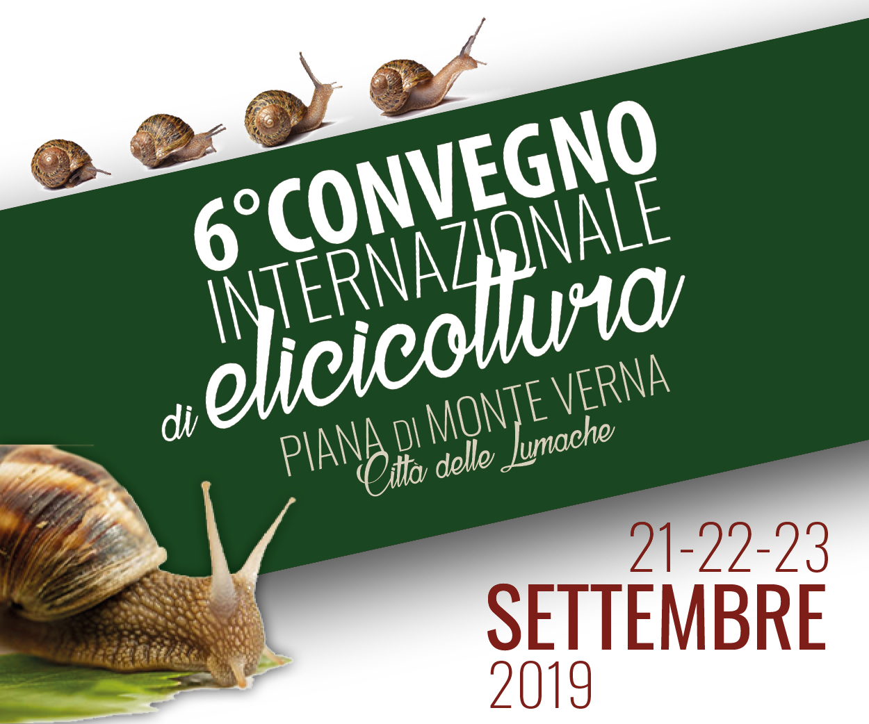 6° convegno internazionale di elicicoltura