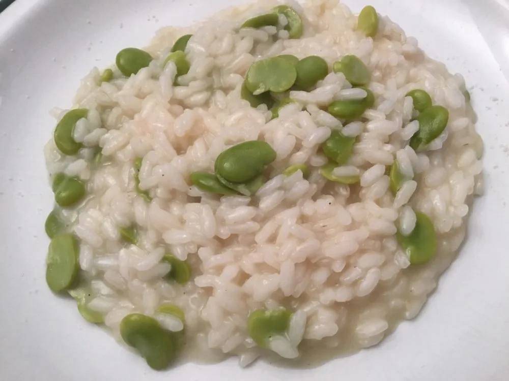 Il mio risotto con fave e pecorino