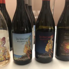 Donnafugata e i vini che nascono sull’Etna