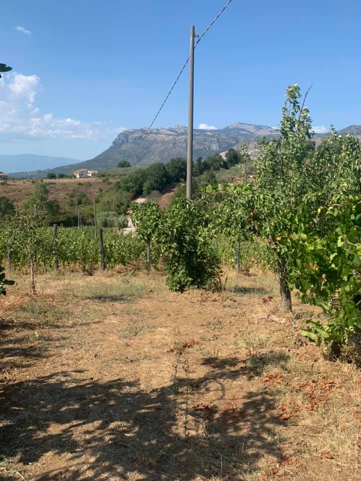 Tenuta Mainardi ad Aquara