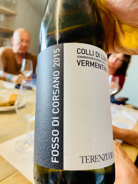 Terenzuola - Fosso di Corsano 2017 Vermentino 