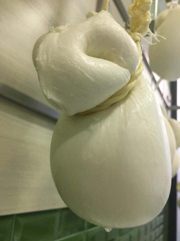 Caseificio Arte e Latte - Scamorza Lattosa