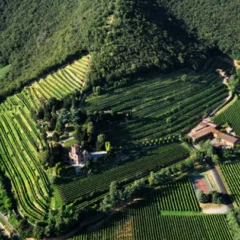 Castello Bonomi - Monte Orfano