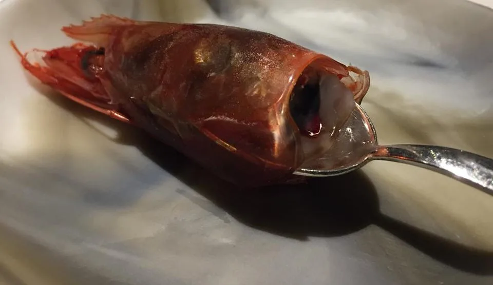 Il Tino, la testa del gambero