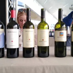 In Vino Civitas Bottiglie di Montiano in degustazione