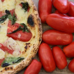 Pizza e San Marzano