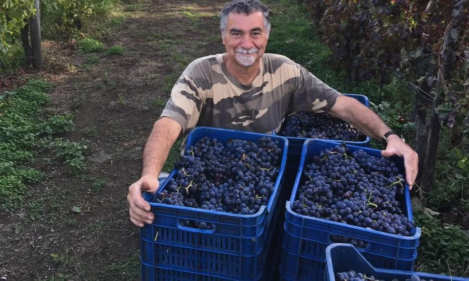 Salvatore Varriale immerso nella sua Vigna
