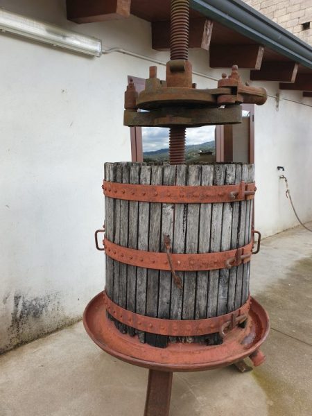 torchio - tenuta mainardi