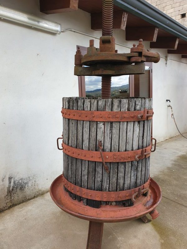 torchio - tenuta mainardi