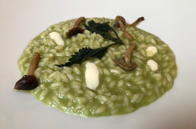 Trattoria Visconti, Ambivere, risotto carnaroli con ortiche, funghi pioppini e stracchino all’antica delle valli orobiche, presidio Slow Food