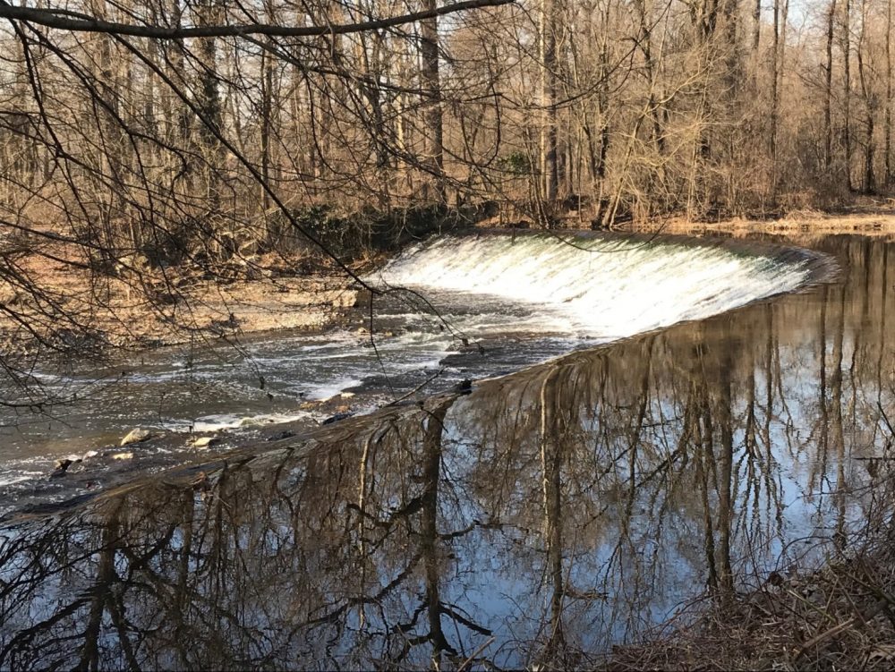 Monza, scorcio del Parco