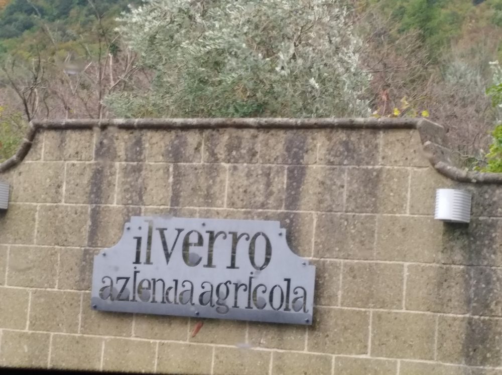 Azienda Agricola Il Verro