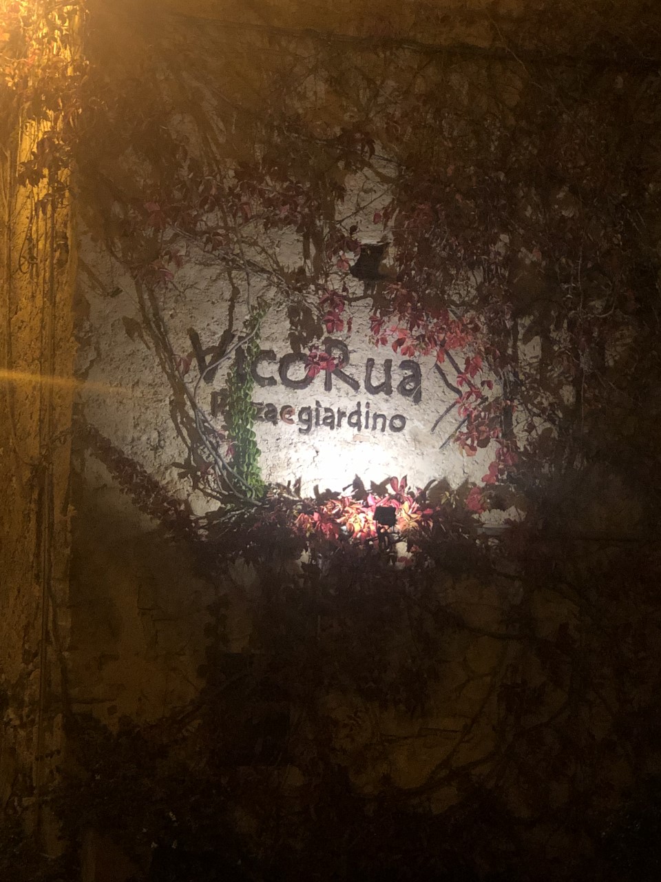 Vicorua - ingresso