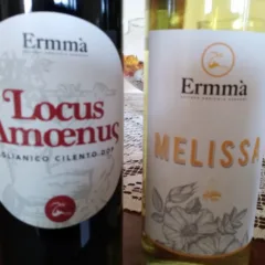 Vini azienda Ermma'
