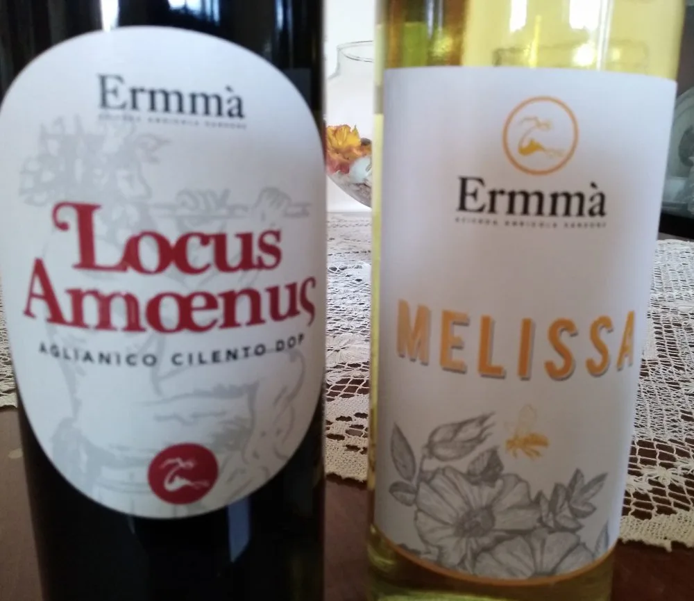 Vini azienda Ermma'