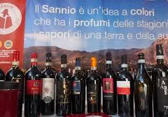 Vini sanniti protagonisti a Merano