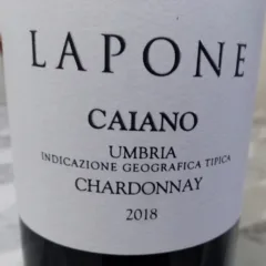 Caiano Chardonnay Umbria Igt 2018 Lapone