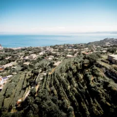 Cenatiempo - terrazzamenti