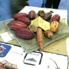 Cioccoshow- Il frutto